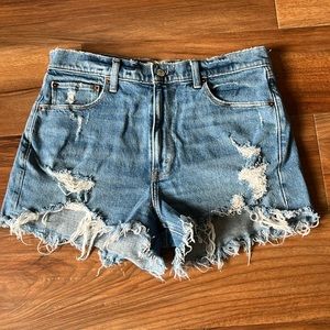 Abercrombie & Fitch High Rise Mom Shorts (Size 10)